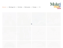 Tablet Screenshot of moludsgn.com